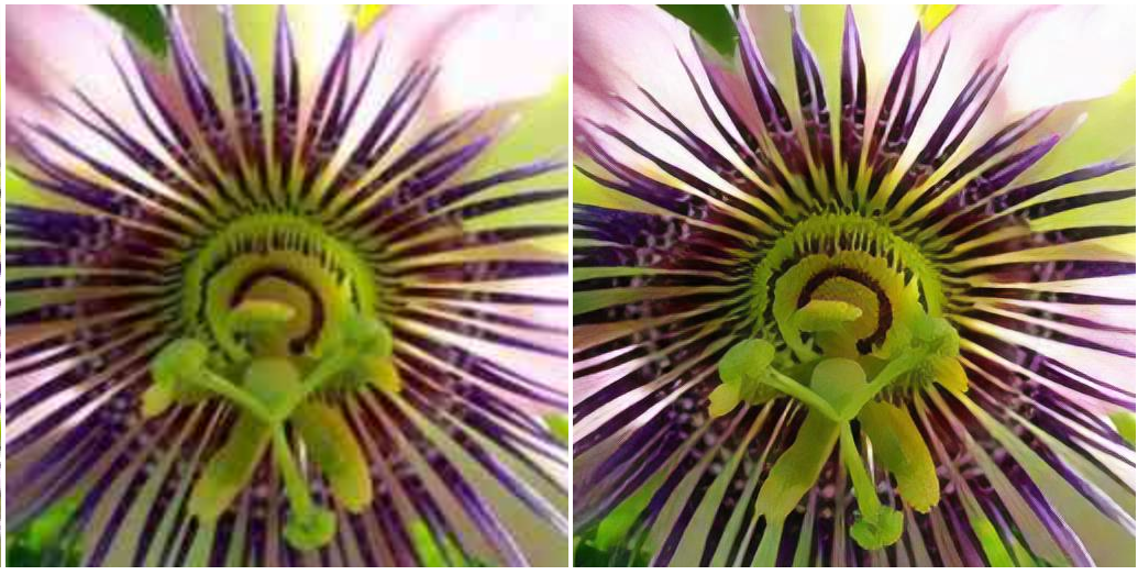 Image Super-Resolution using Deep Learning | by Soujanya P M | Medium
