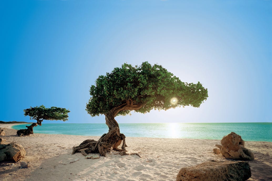 Best Beaches in the Caribbean: Tropical Paradises Worth Visiting