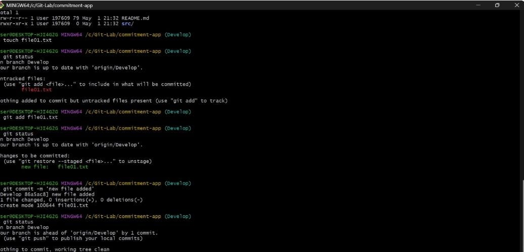 Git semantic commit messages