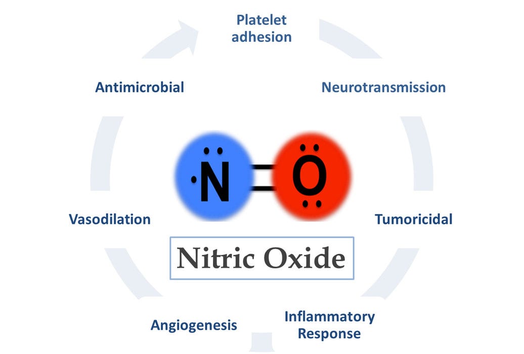 The Nitric Oxide Revolution. In the everevolving landscape of… by
