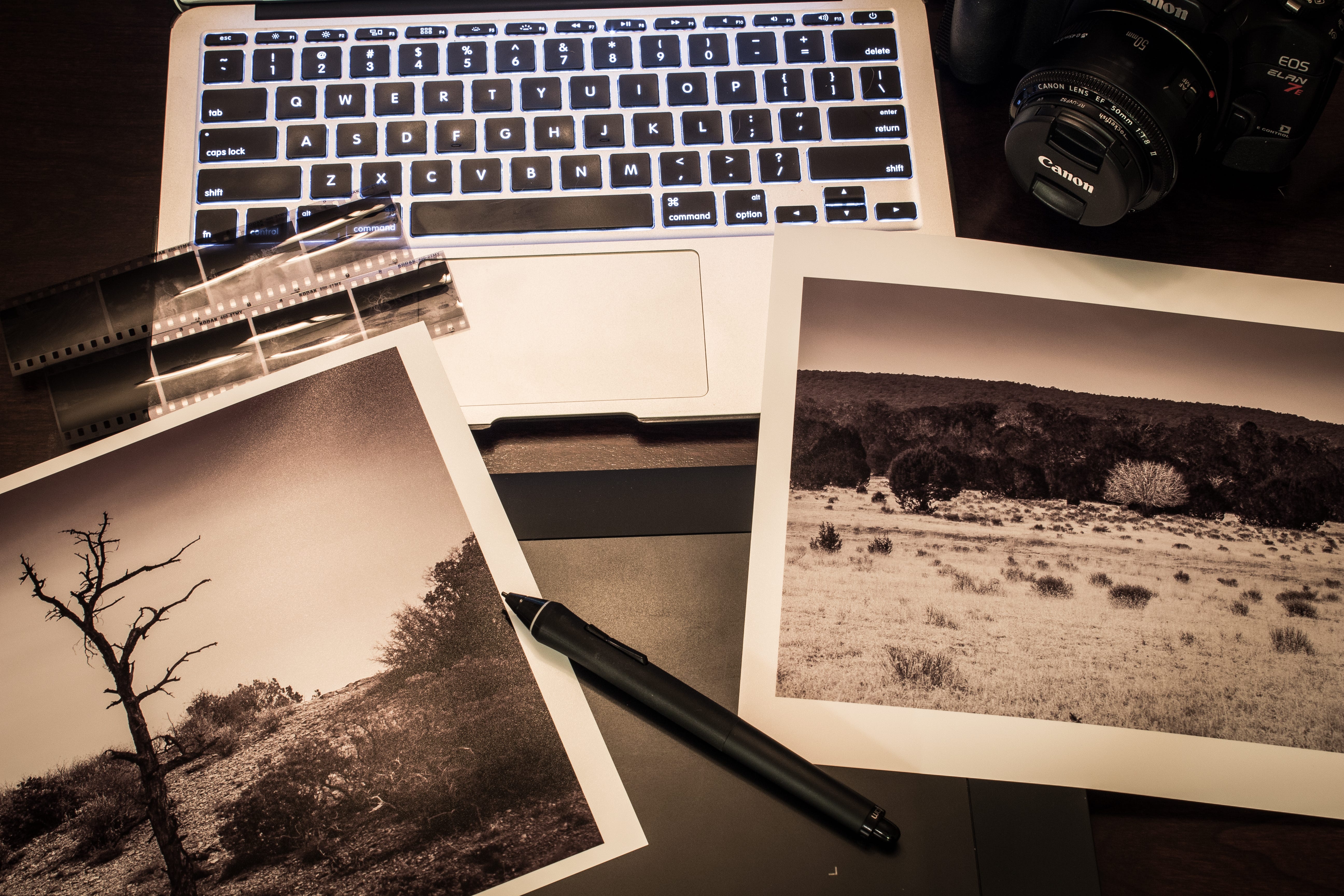 Searching For My Photography Identity | by Craig Bergonzoni | Medium