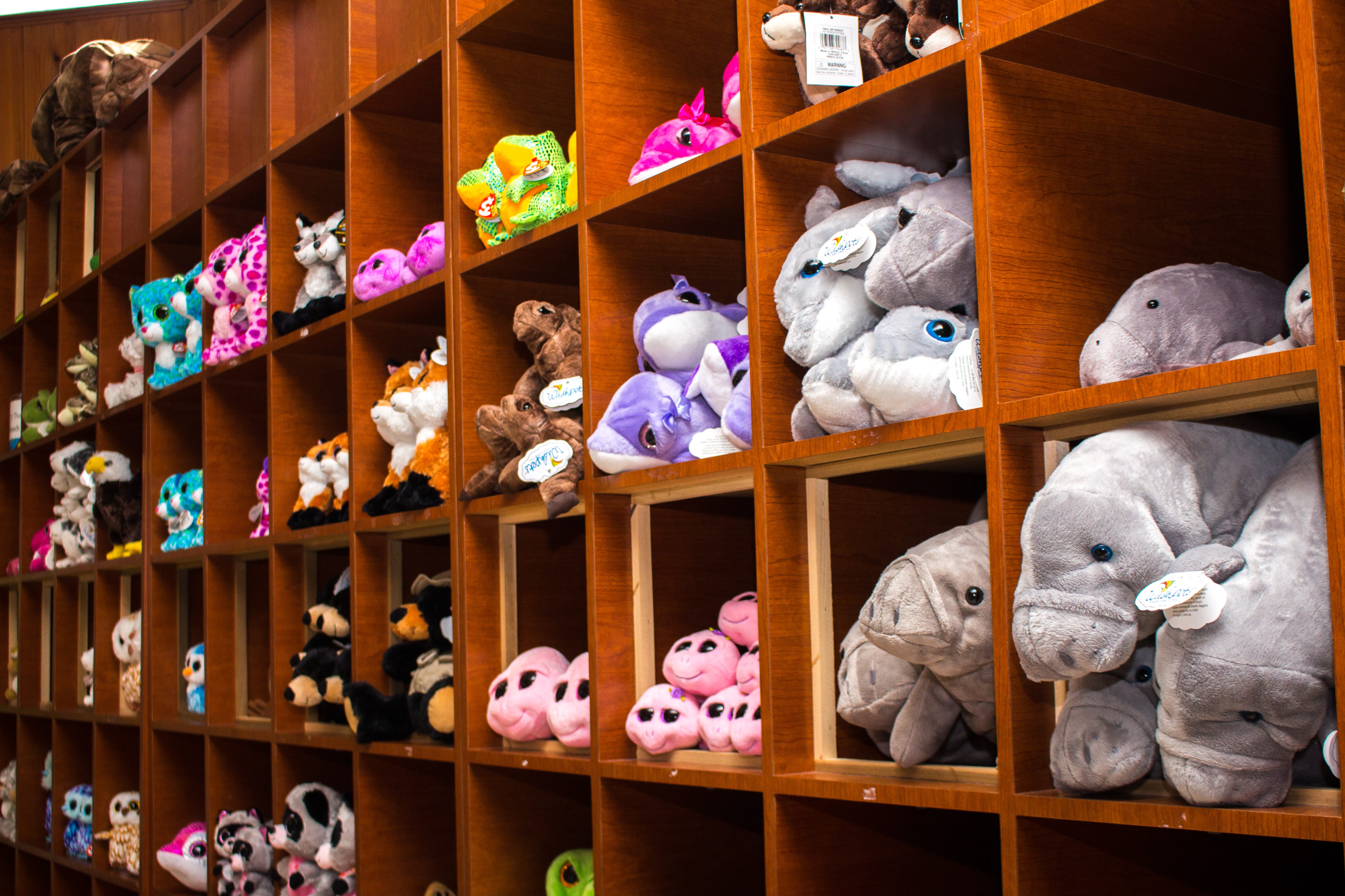 Green Gifts At The Conservancy Nature Store | By Conservancy Of Swfl |  Medium