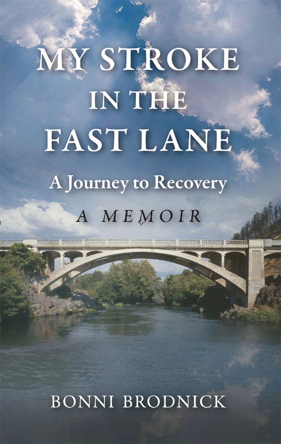 Color picture of “My Stroke in the Fast Lane” book cover shows distant shot of a suspension bridge