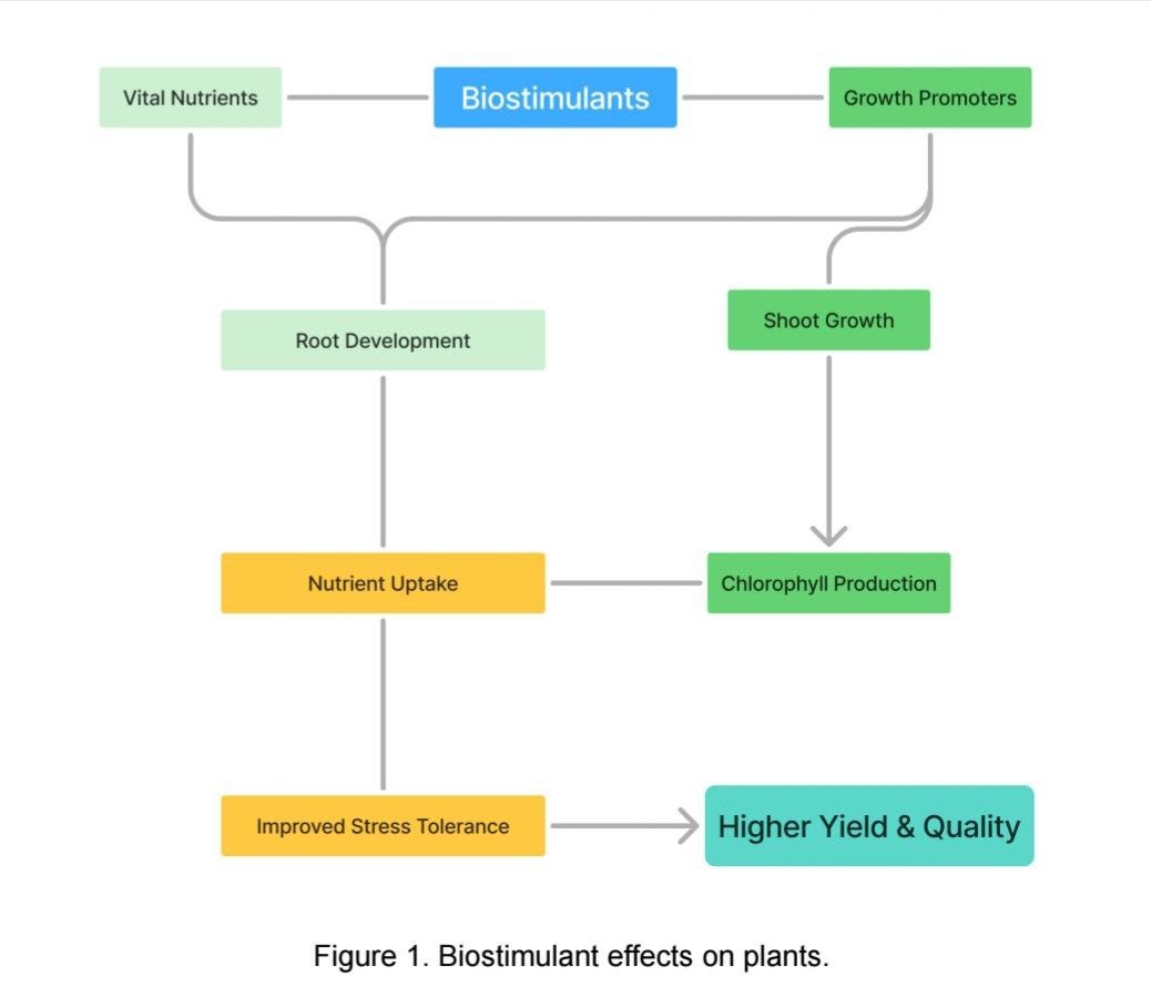 What are plant biostimulants?