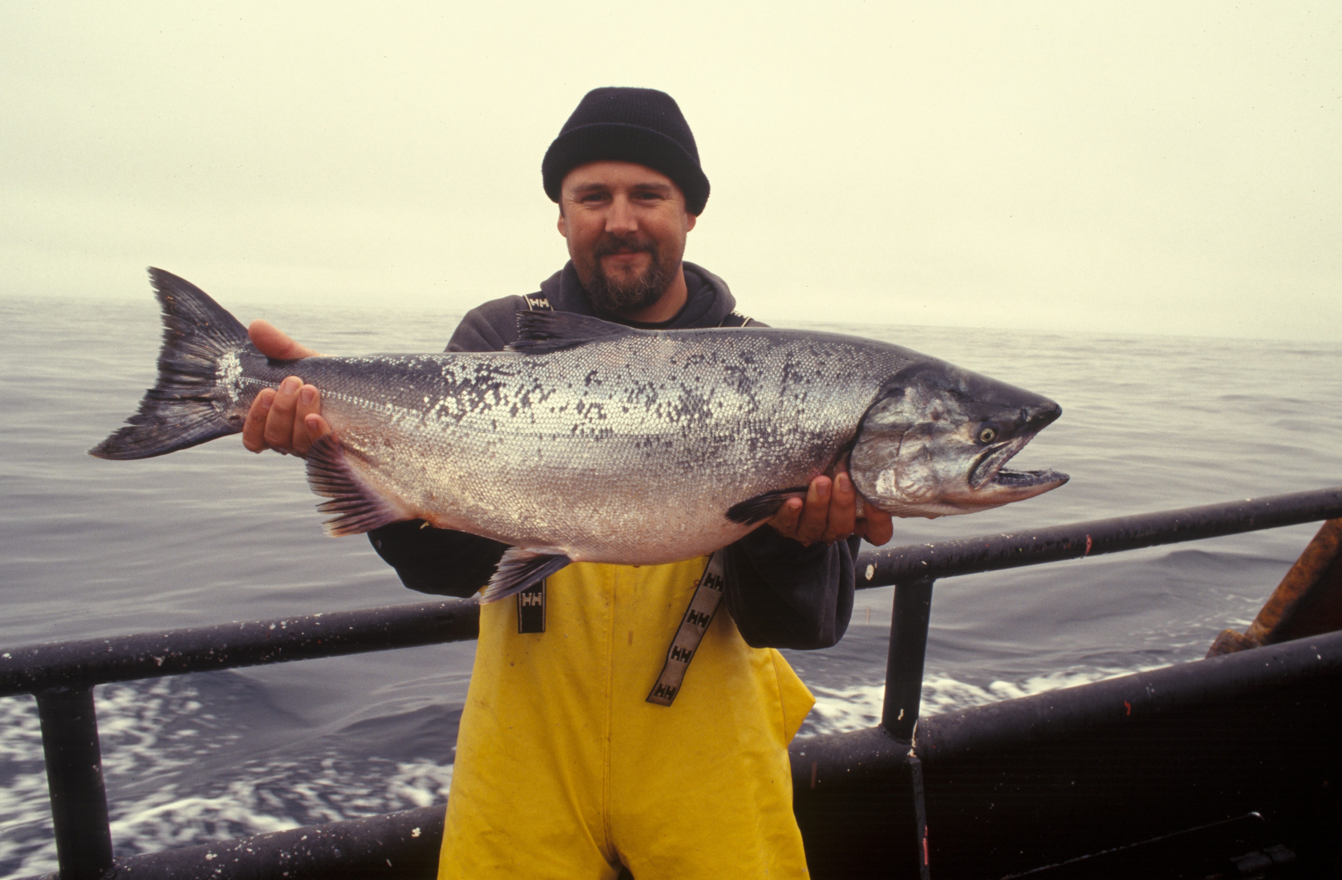 Difficult and dangerous' work raises health risks for Alaska salmon  fishermen