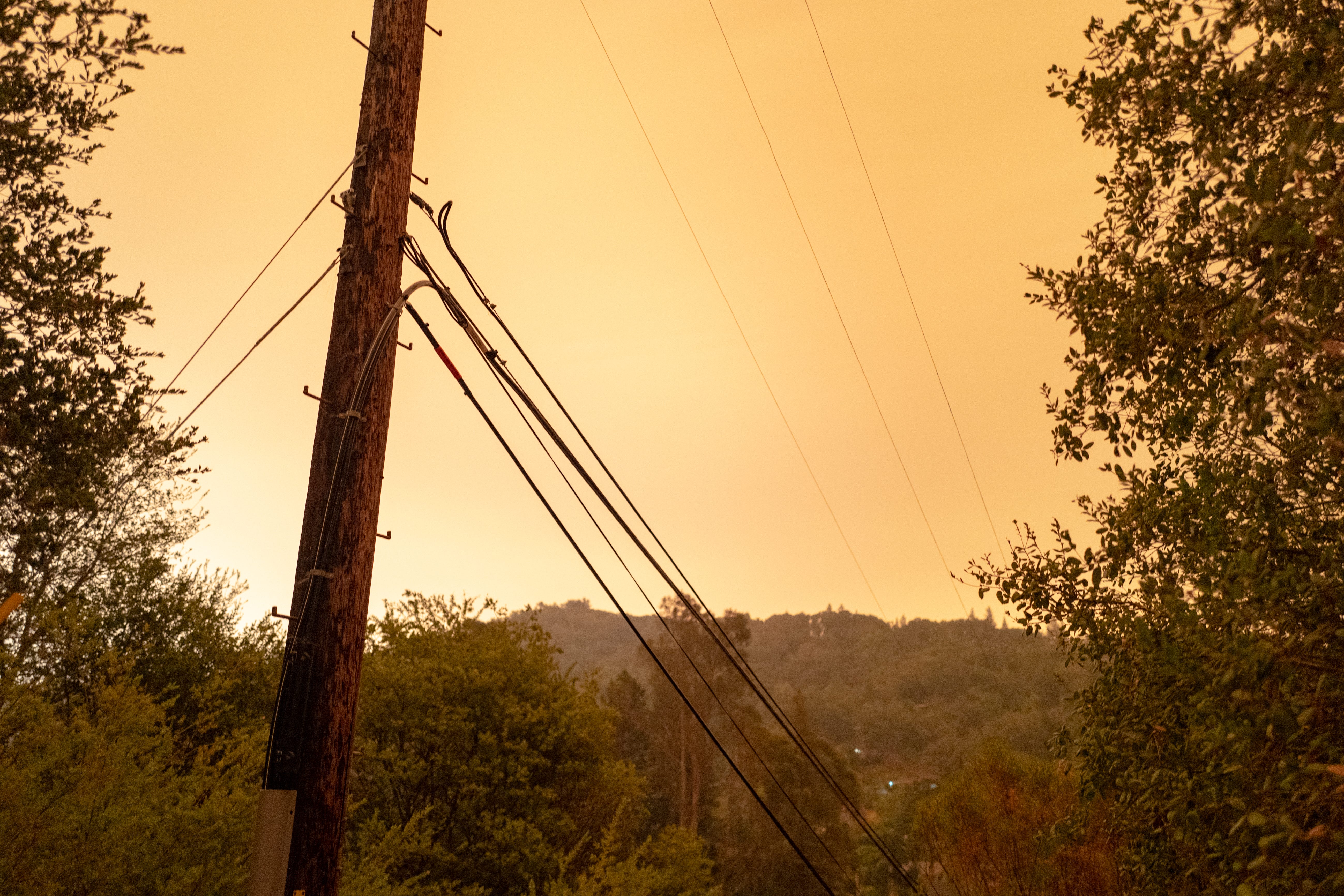 A telephone pole amidst trees in front of an orange, smoky sky.