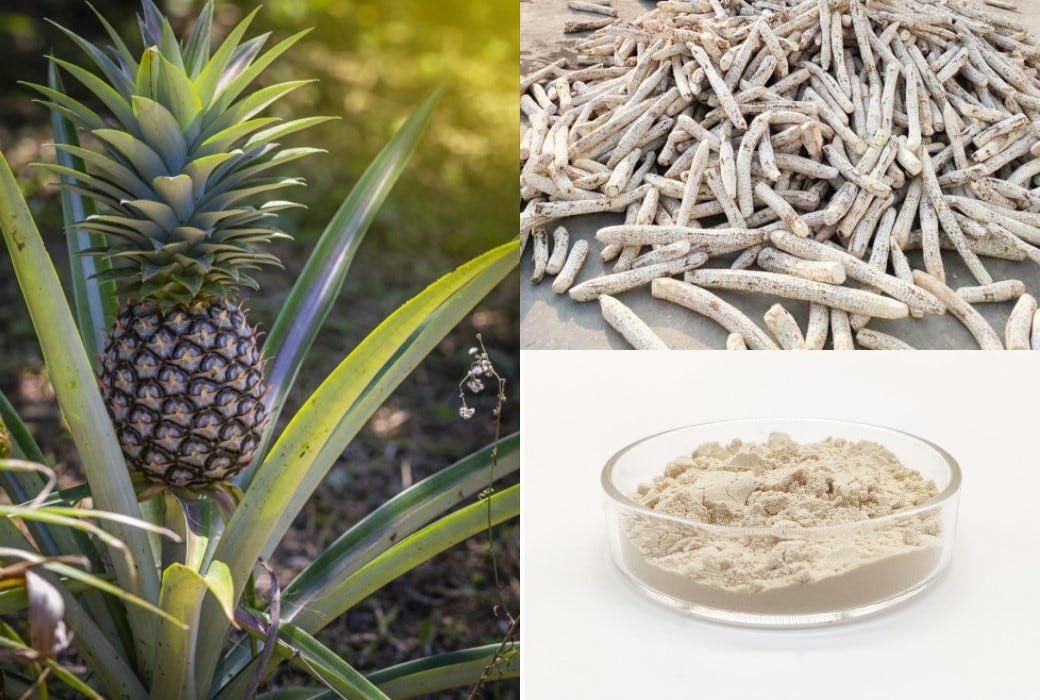 What are the health benefits of quercetin bromelain? by JOYWIN Natural Products Medium