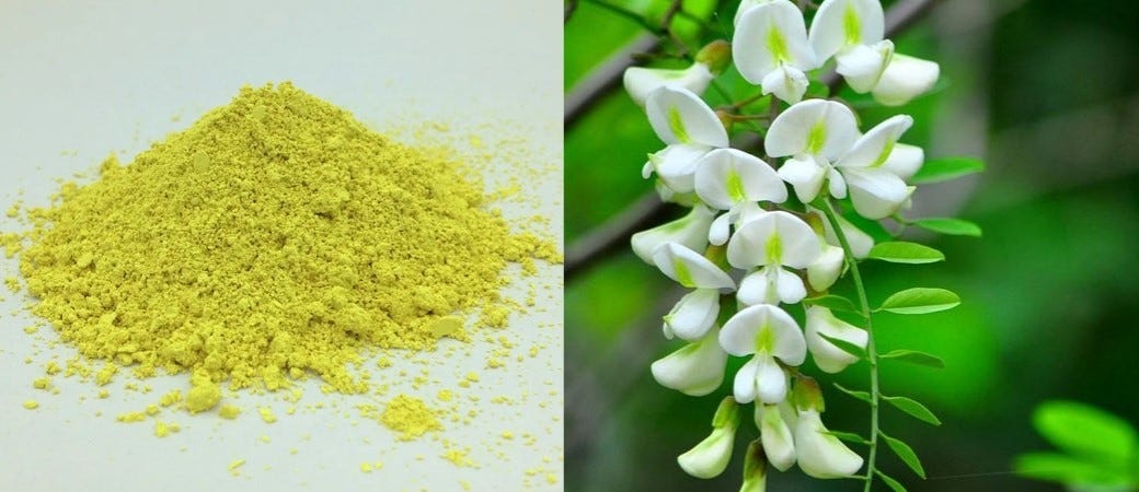 Pure Quercetin Powder