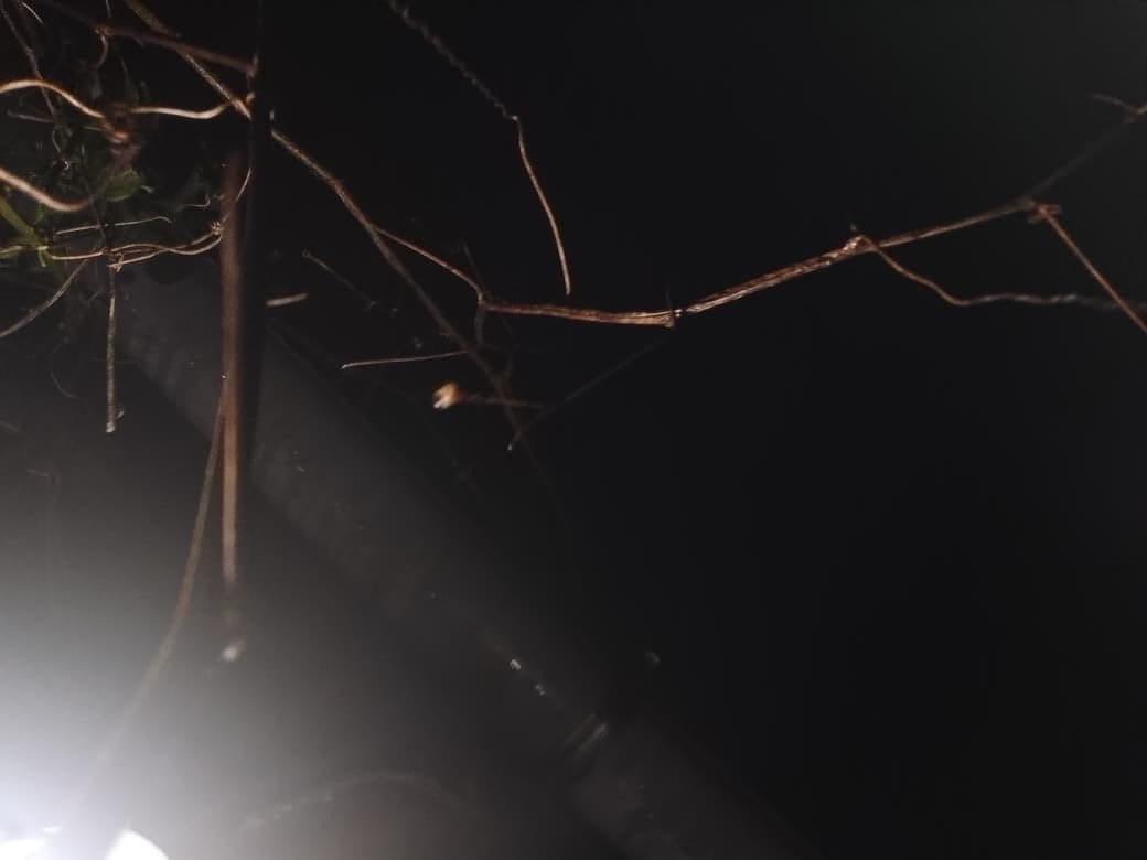 Gerimis Melankolis dan Malam yang Cukup Manis
