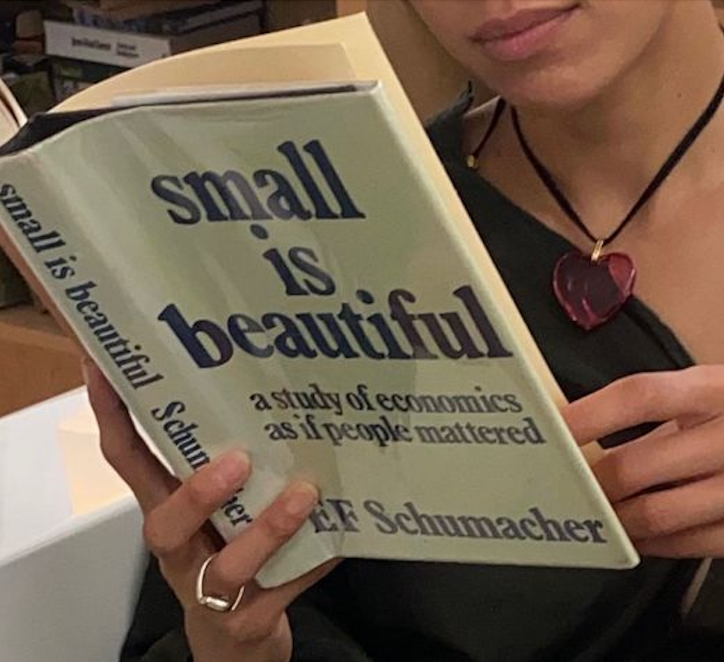 Book Review: Small is Beautiful. Did this book in 1973 predict the