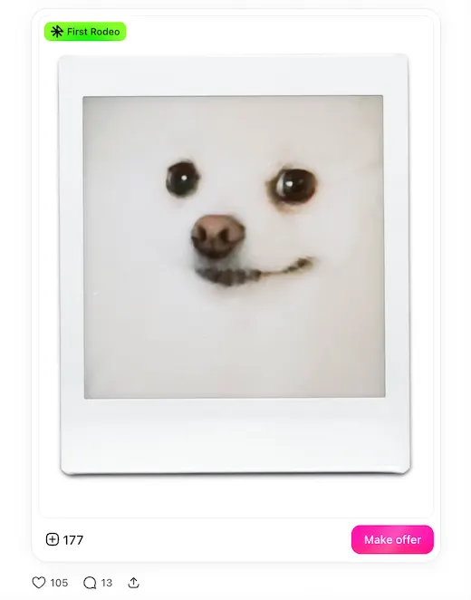 Dog polaroid