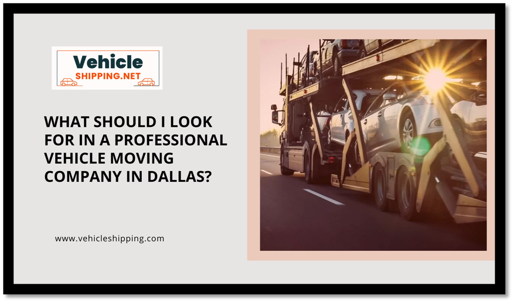 What Should I Look for in a Professional Vehicle Moving Company in Dallas? by Vehicle Shipping