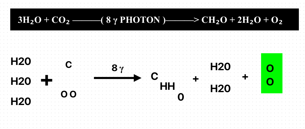 life formula 1 , pre plakton formula .