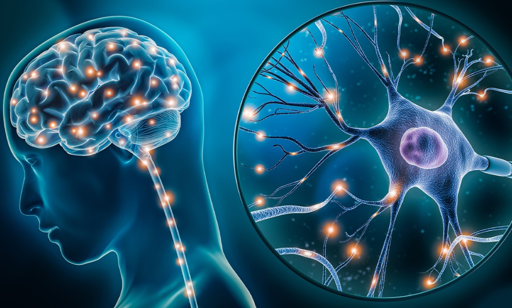 BioGen Advances in Understanding Neurodegeneration and Renal Decline