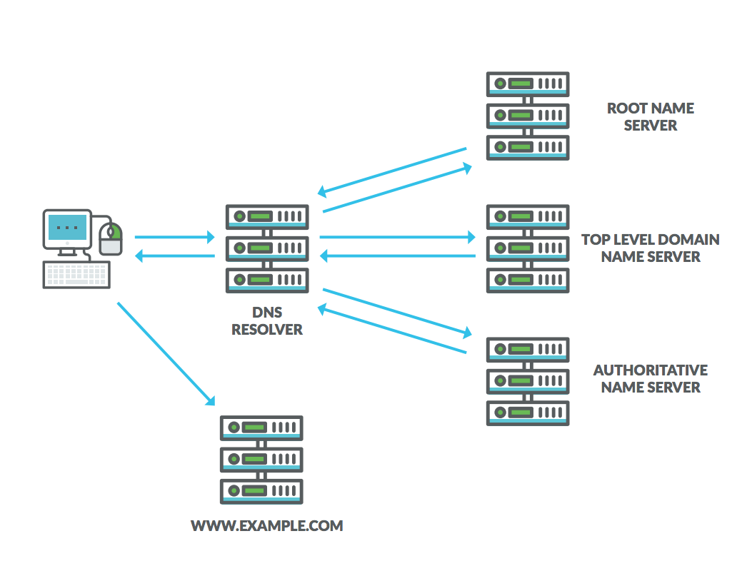 IP Address and Domain Information