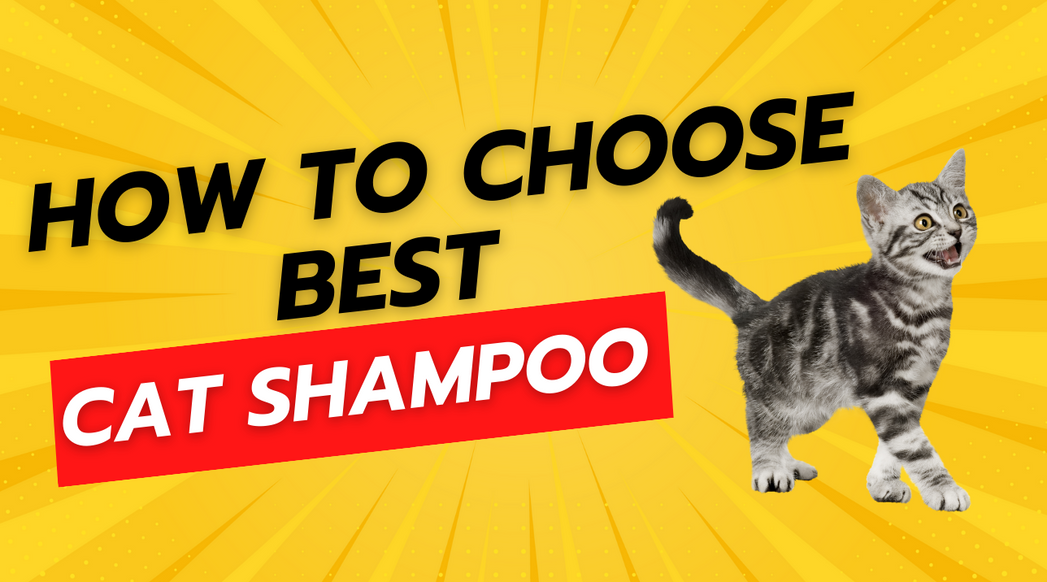 The Ultimate Guide to Choosing the Best Cat Shampoo by Zoviane Pets