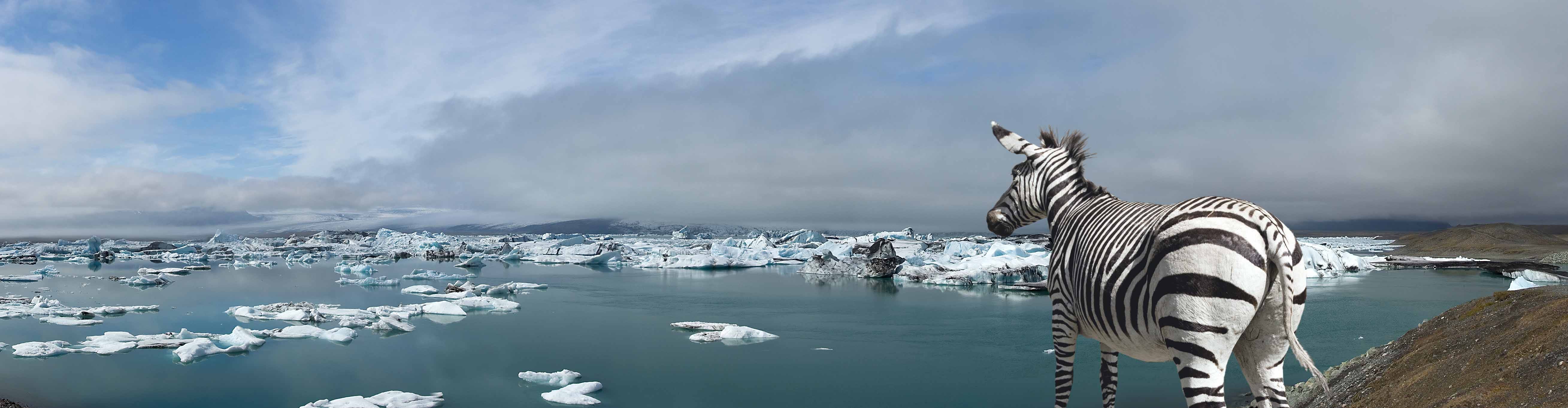 The Awe of the Arctic: A Visual History