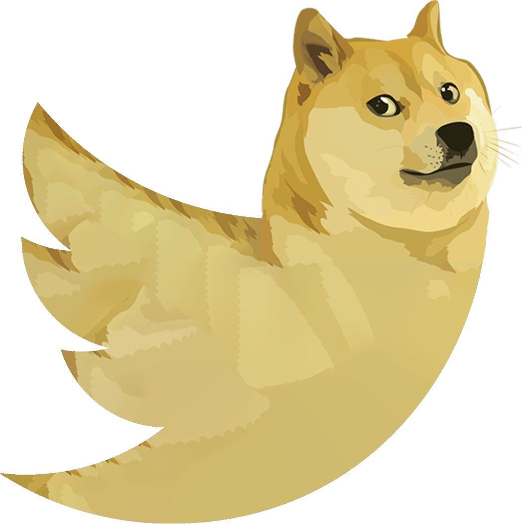 The Doge and the Twitterverse. That title sounds a bit like a… | by ...