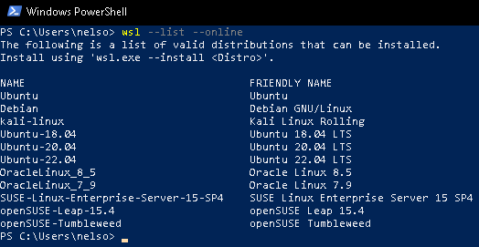 WSL: como executar programas e comandos Linux no Windows?