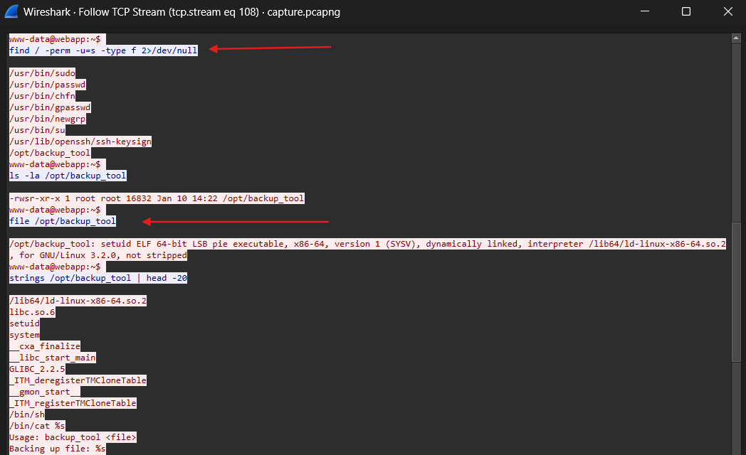 SUID Binary Discovery