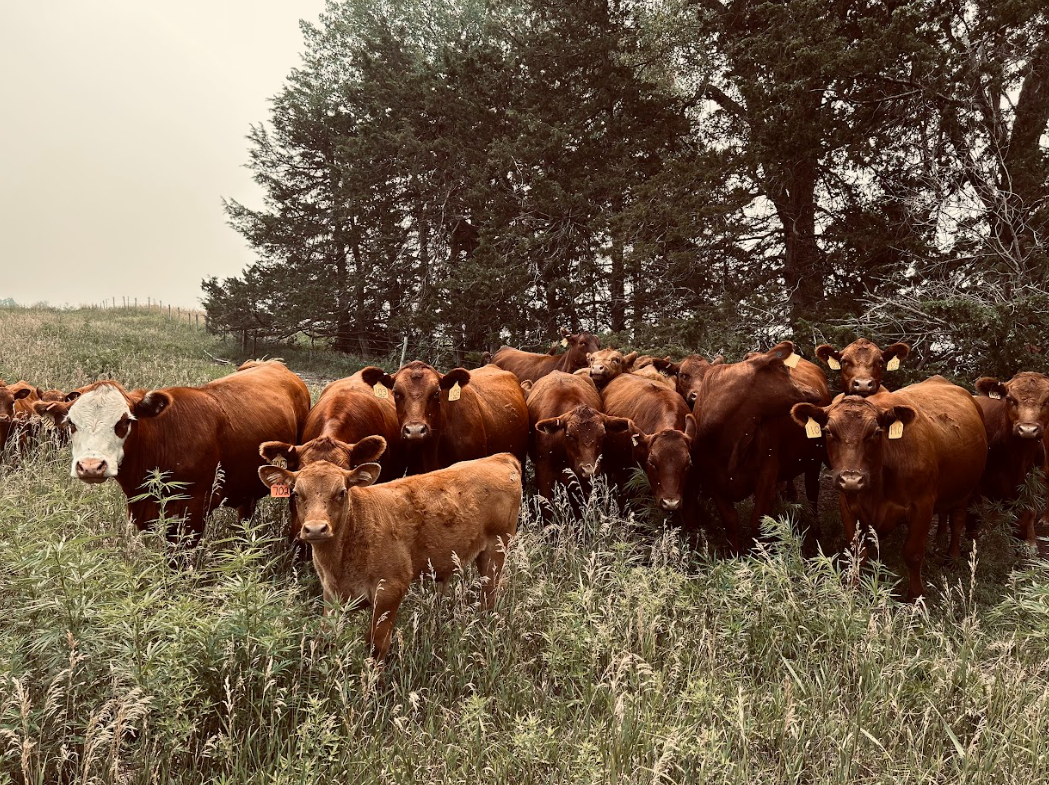 What Does Agriculture Mean to Me? by Doane Forward Together Medium