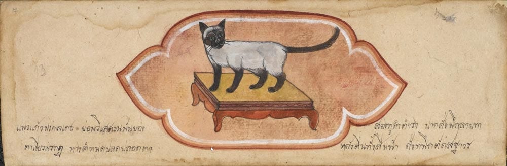 The manuscript, produced in Thailand, contains a fine painting of a Siamese cat.