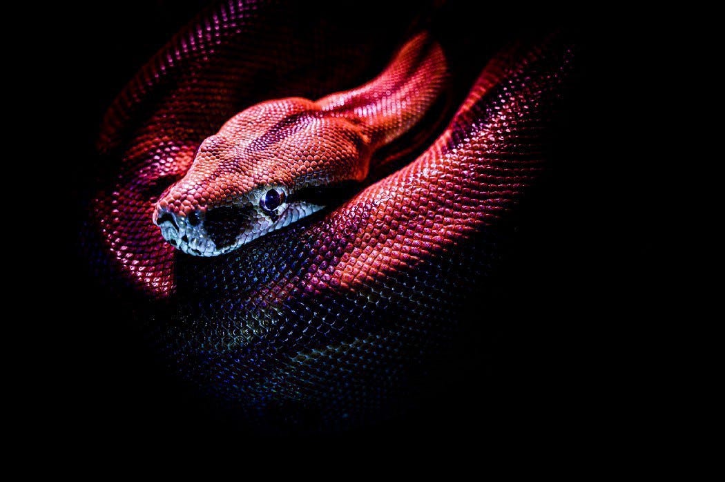 #8.2 while-loop code examples — Python for Beginners | by l0ckD2wN ...