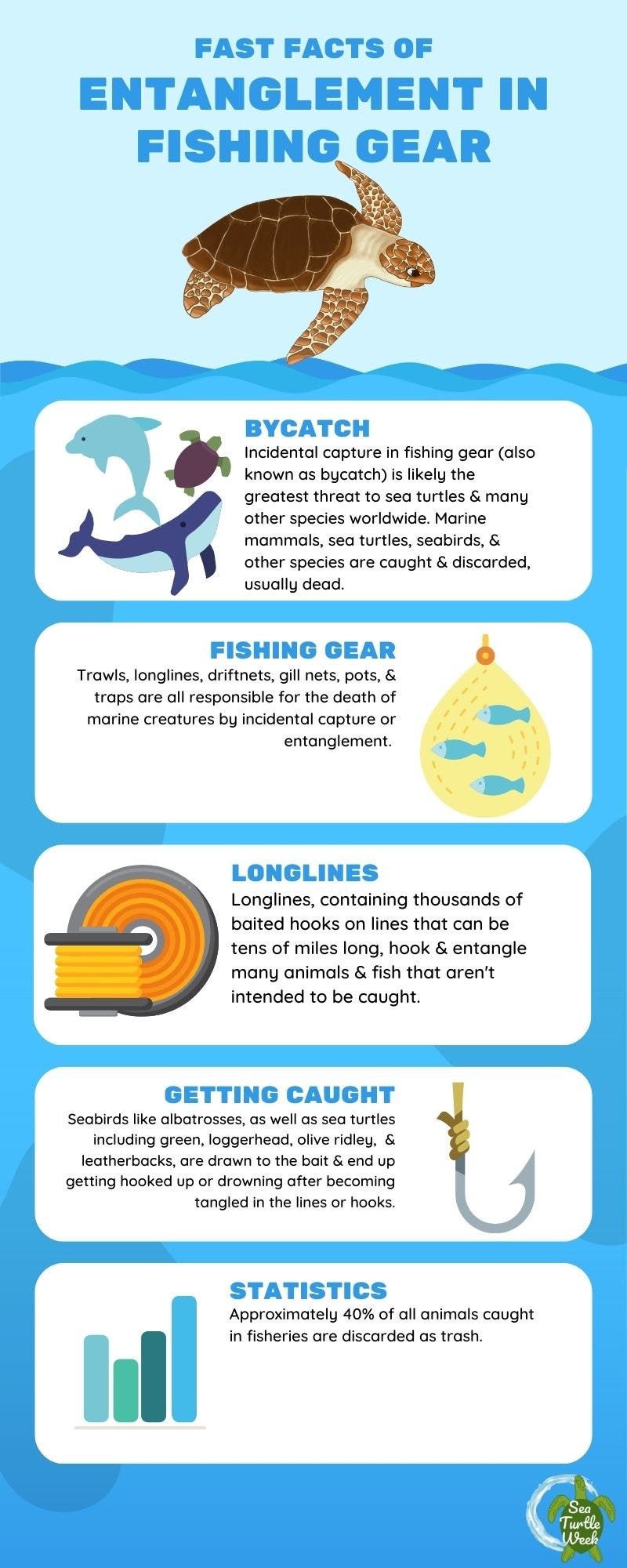 Source-Sea Turtle Week