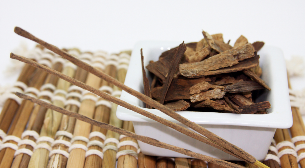 sandalwood incense benefits. Sandalwood is the result of wood from