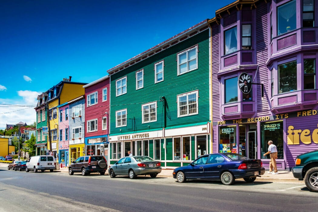 Shaving a Newfoundland Tips and Techniques by Shaving for Men Medium