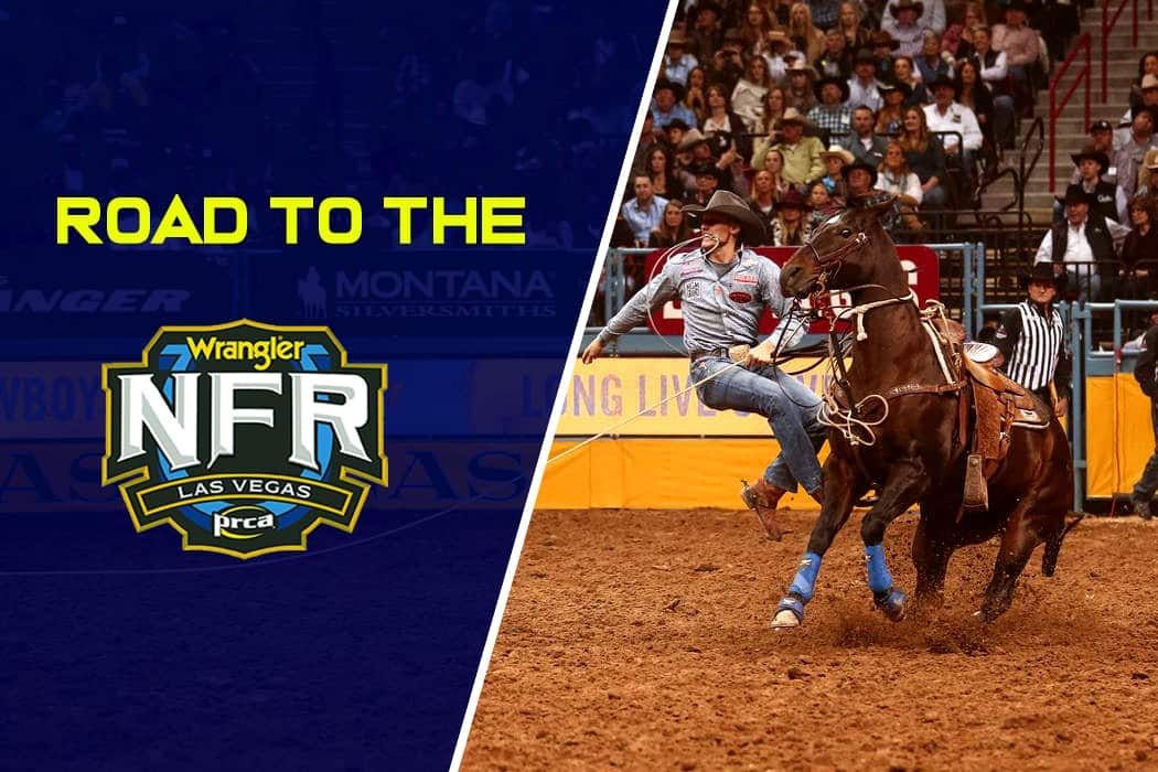 Watch National Finals Rodeo Live Stream 2019 Las Vegas Rodeo Online by National Finals Rodeo