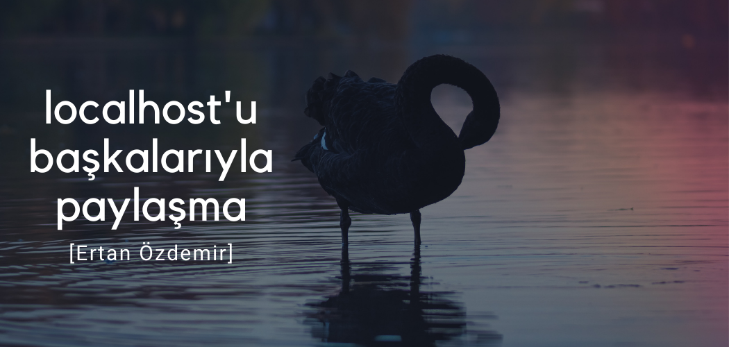 localhost’a Dışarıdan Bağlanmak