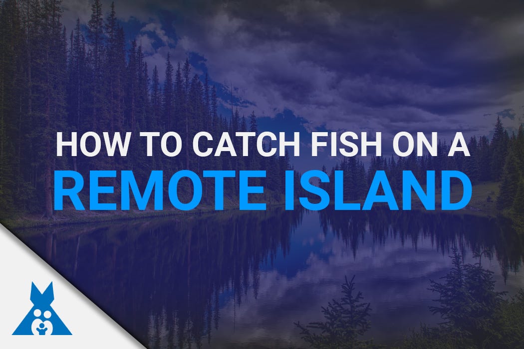 How to catch fish on a remote island, by Survival Family, Suvival Family