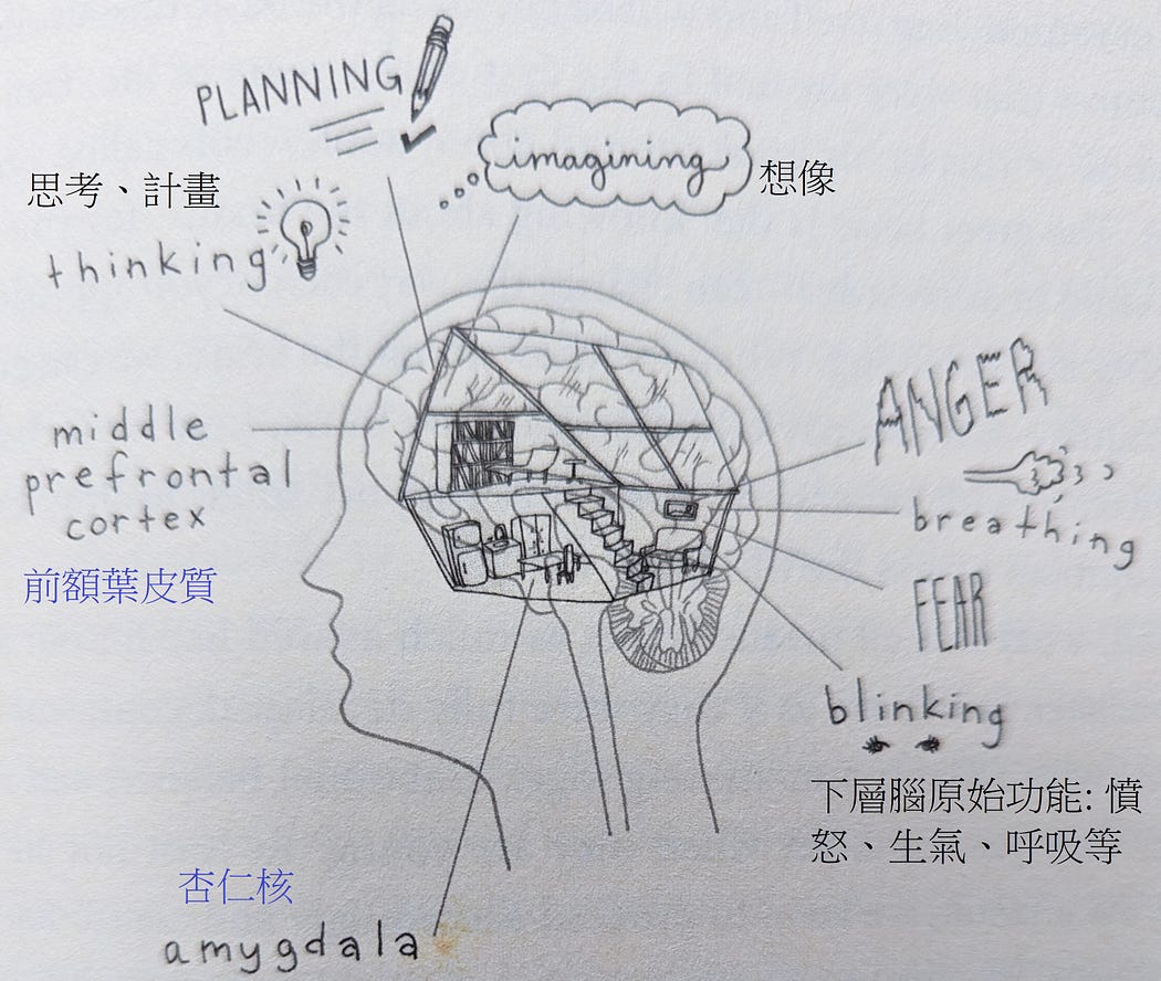 raw-image