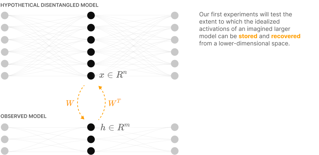 Superposition in Toy Models