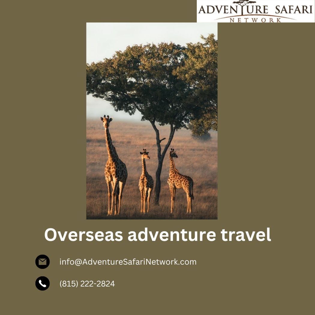 Overseas Adventure Travel Adventure Safari Network Medium