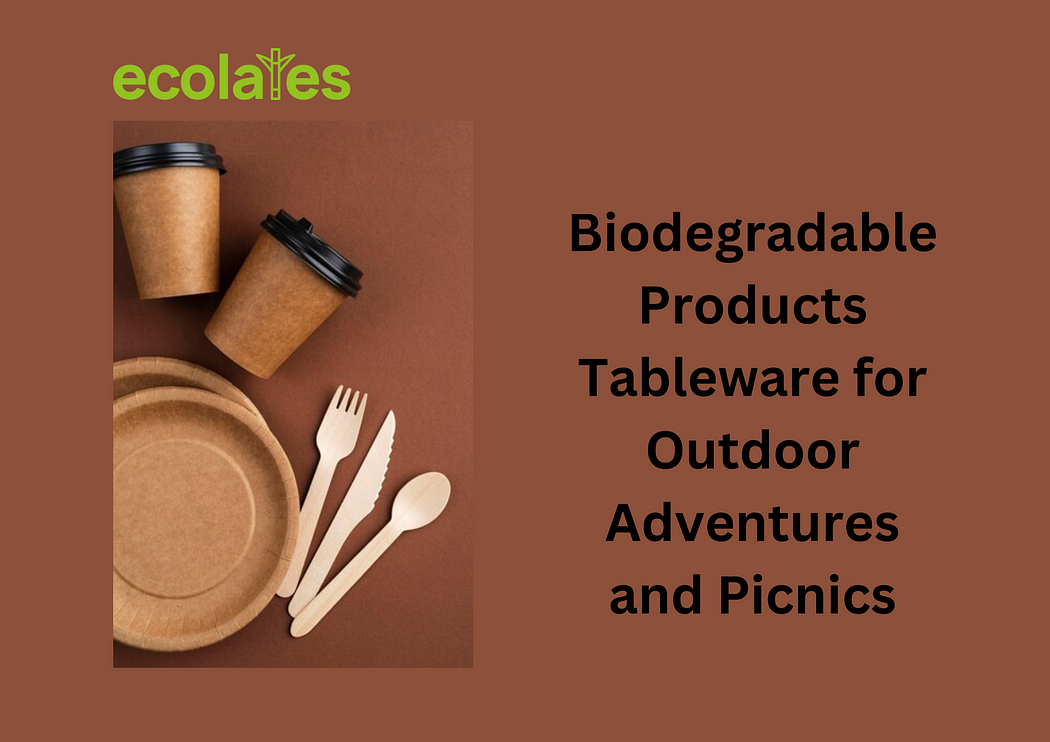 Biodegradable Products Tableware for Outdoor Adventures and Picnics | Ecolates