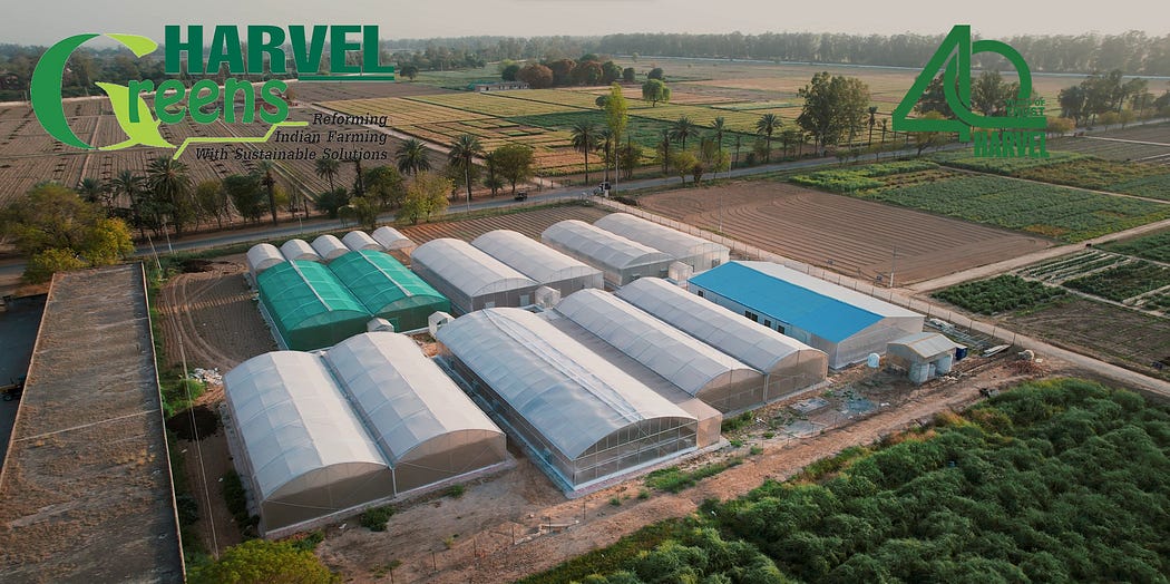 harvelgreens greenhouse