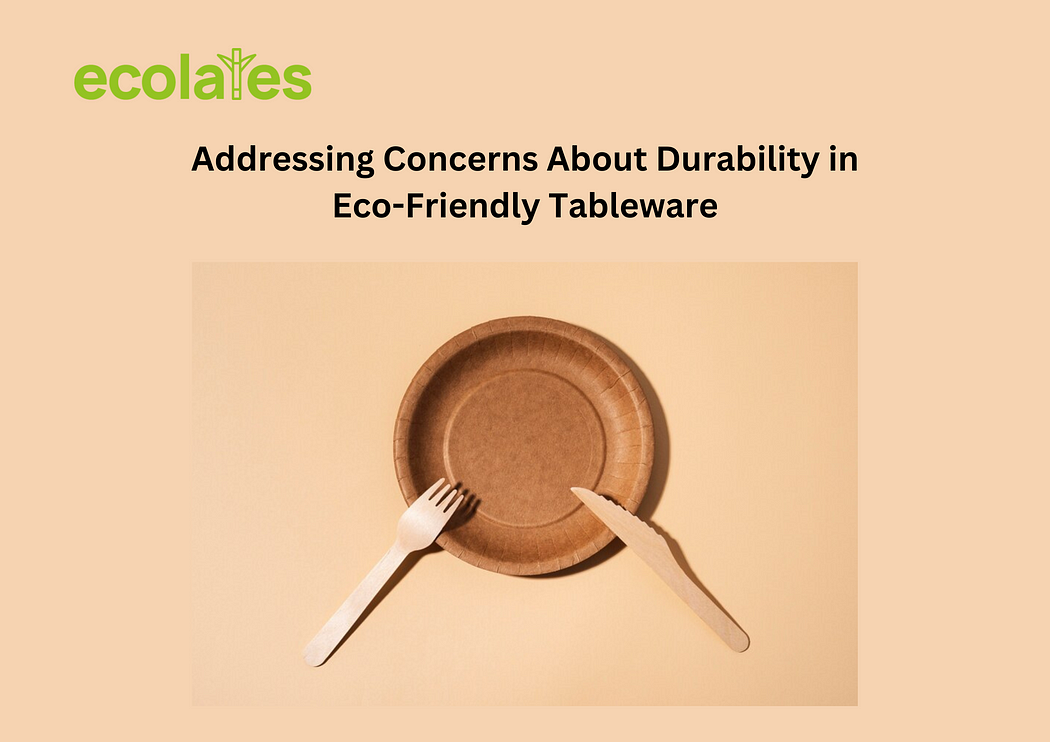 Addressing Concerns About Durability in Eco-Friendly Tableware | Ecolates