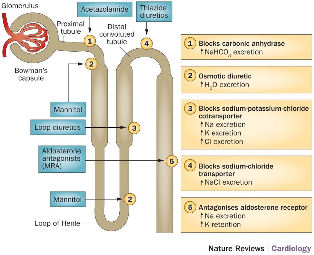 Factors to Consider When Selecting a Diuretic for CHF and Understanding its Mechanism of Action