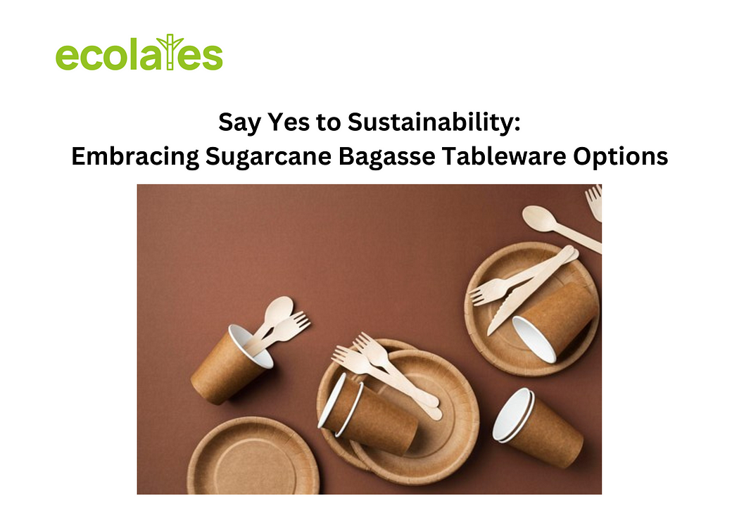 Say Yes to Sustainability: Embracing Sugarcane Bagasse Tableware Options | Ecolates