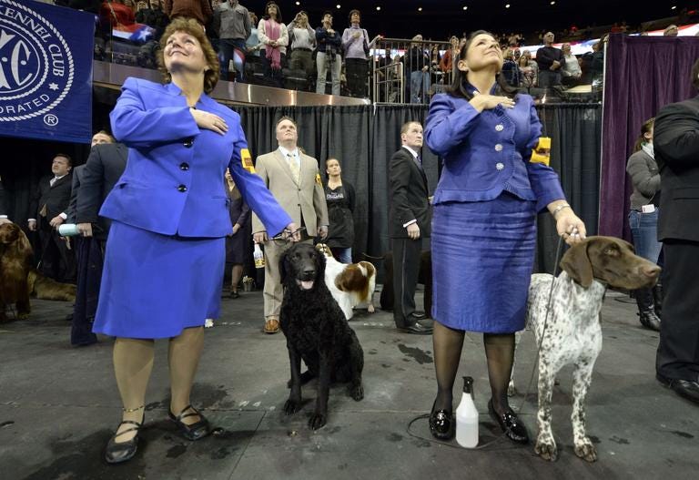 They’re Wearing What? Dog Show Handlers Edition
