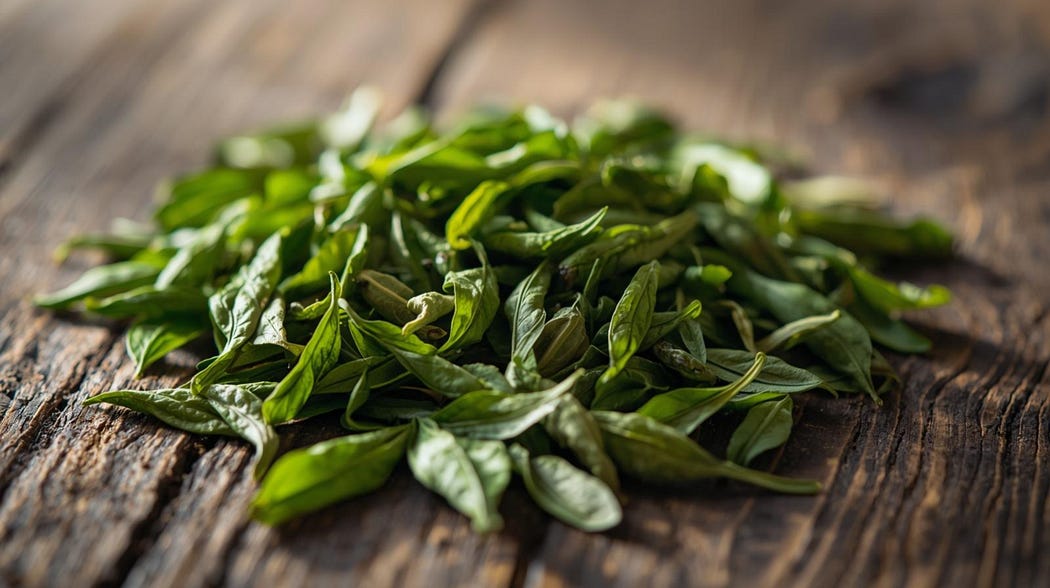 Green tea leaves