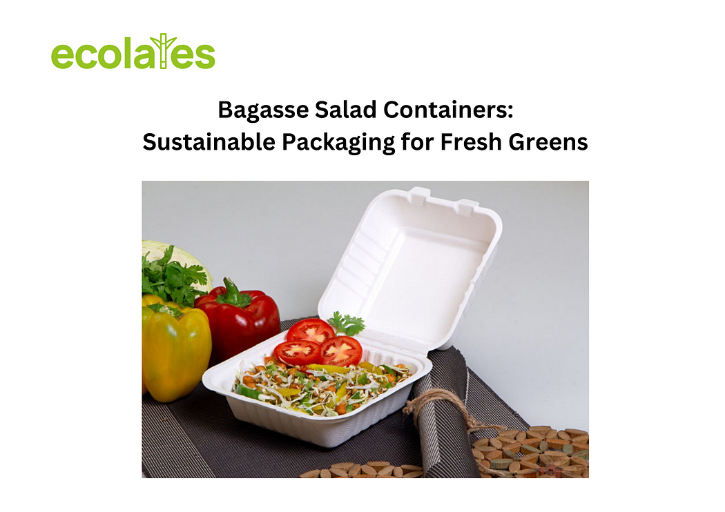 Bagasse Salad Containers: A Fresh Approach to Sustainable Packaging | Ecolates