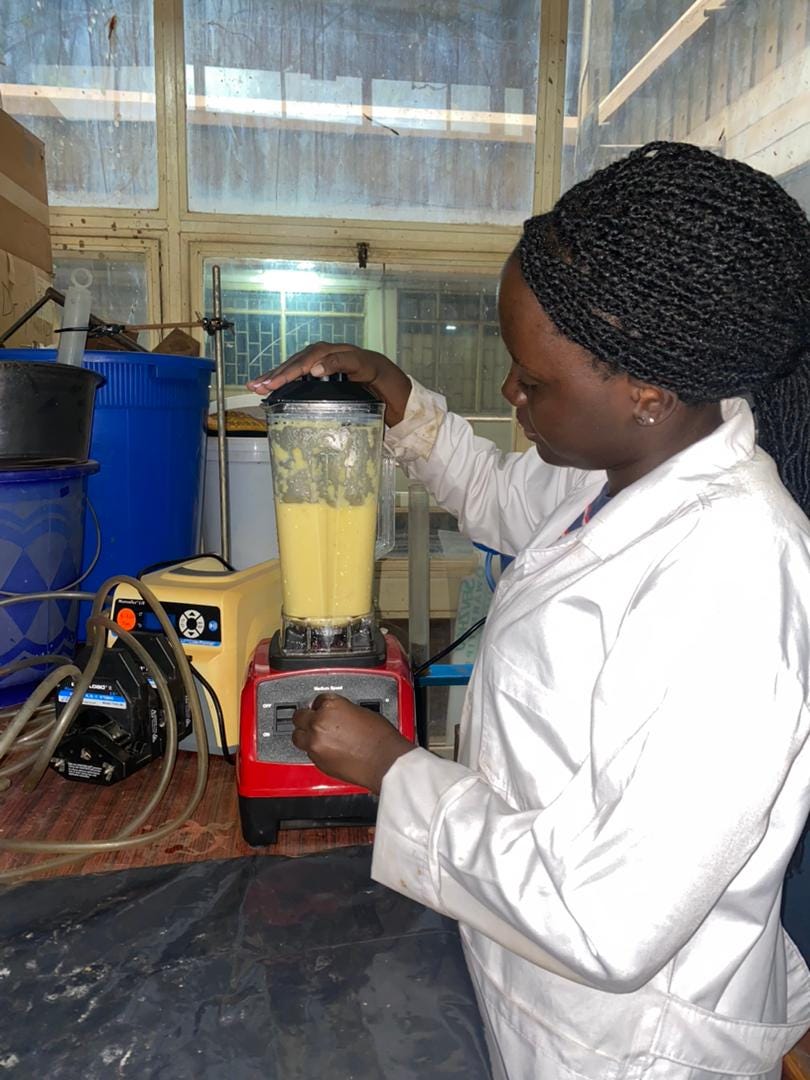 Elizabeth stands using a blender with a thick yellow liquid inside it.