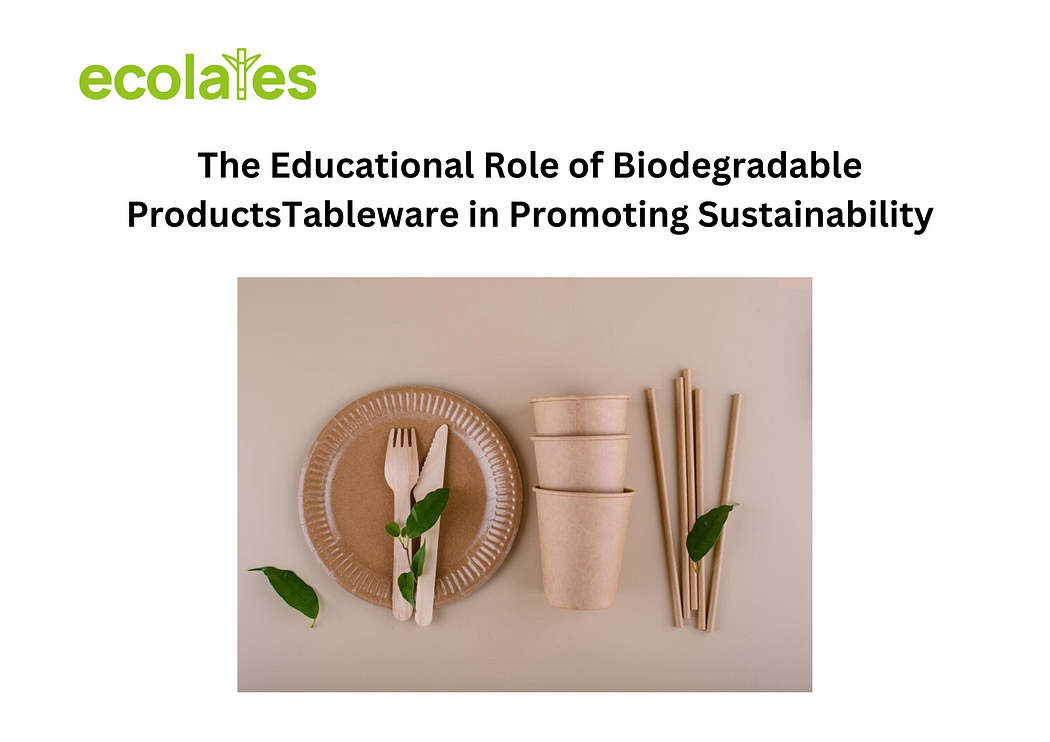 The Educational Role of Biodegradable Products Tableware in Promoting Sustainability | Ecolates