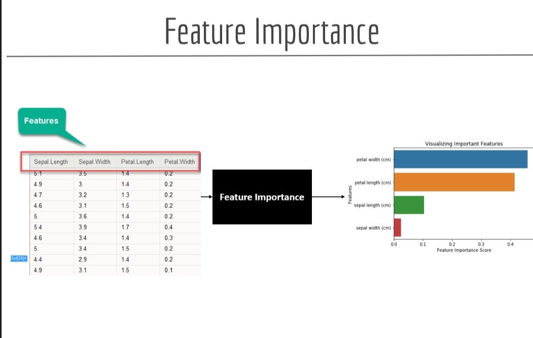 Feature Importance & Feature Selection | by Rutuja Pitrubhakta | WiCDS |  Medium