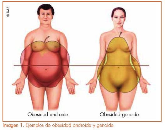 Las cinco mejores básculas para medir tu grasa corporal