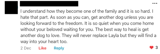 Screenshot of a Nextdoor comment. “…The best way to heal is to get another dog to love.”