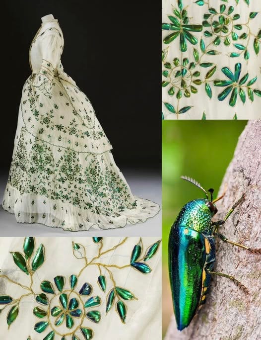 The Bug That Dressed Queens: India's Glittering Love Affair with the Jewel  Beetle | by Prakriti Anand | Medium